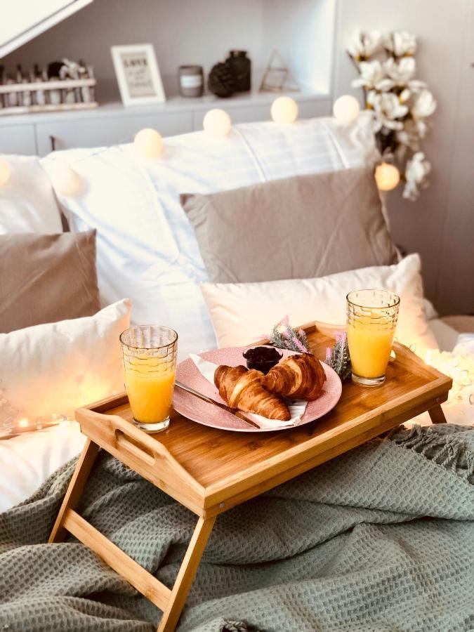 Rezidence Weisovka Apartment Ceske Budejovice Luaran gambar