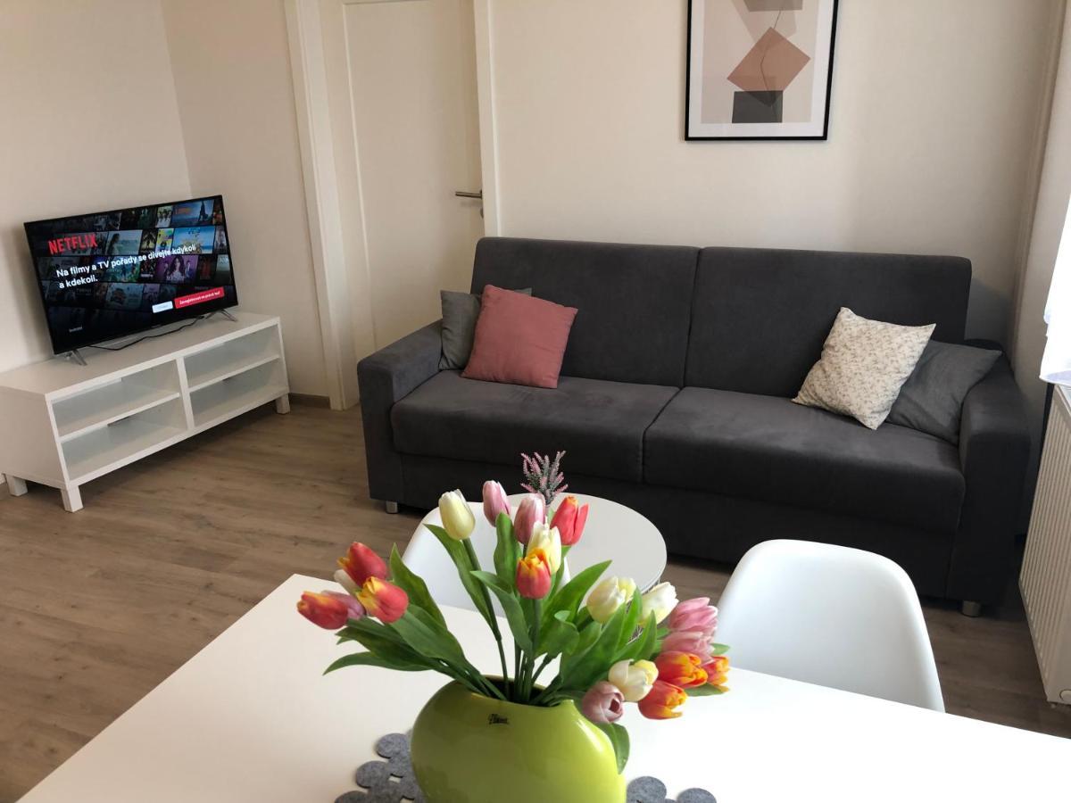 Rezidence Weisovka Apartment Ceske Budejovice Luaran gambar
